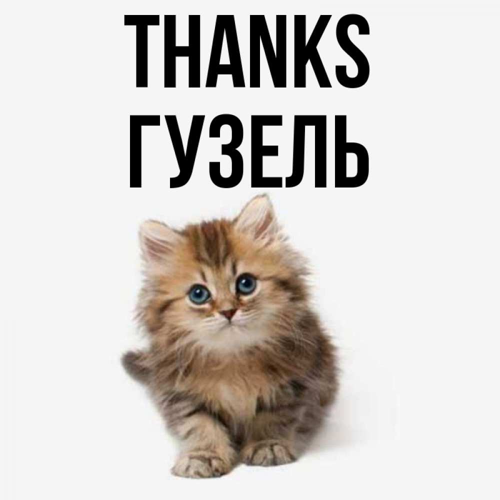 Greetings card с именем, Гузель Thanks пушистый котик Greetings with text for free download 