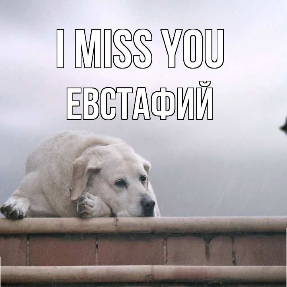 Greetings card с именем, Евстафий I miss you ждет Greetings with text for free download 