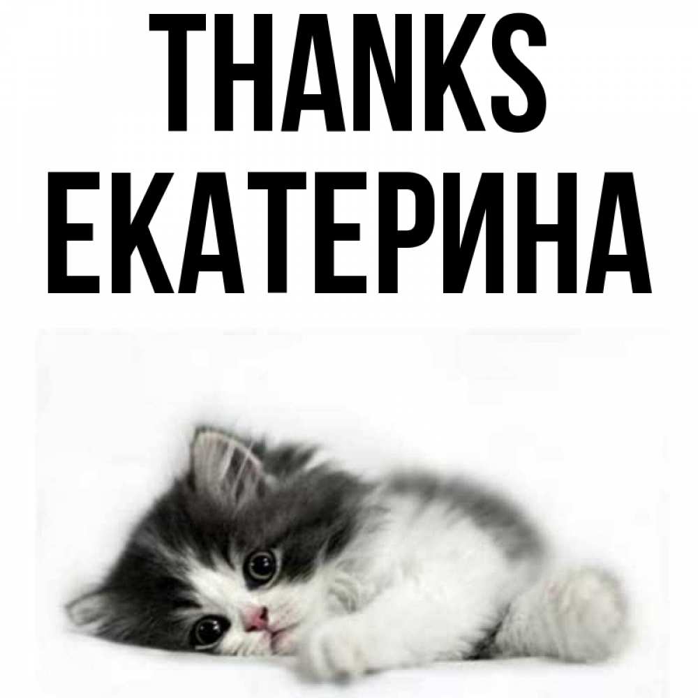 Greetings card с именем, Екатерина Thanks черный и белый кот Greetings with text for free download 