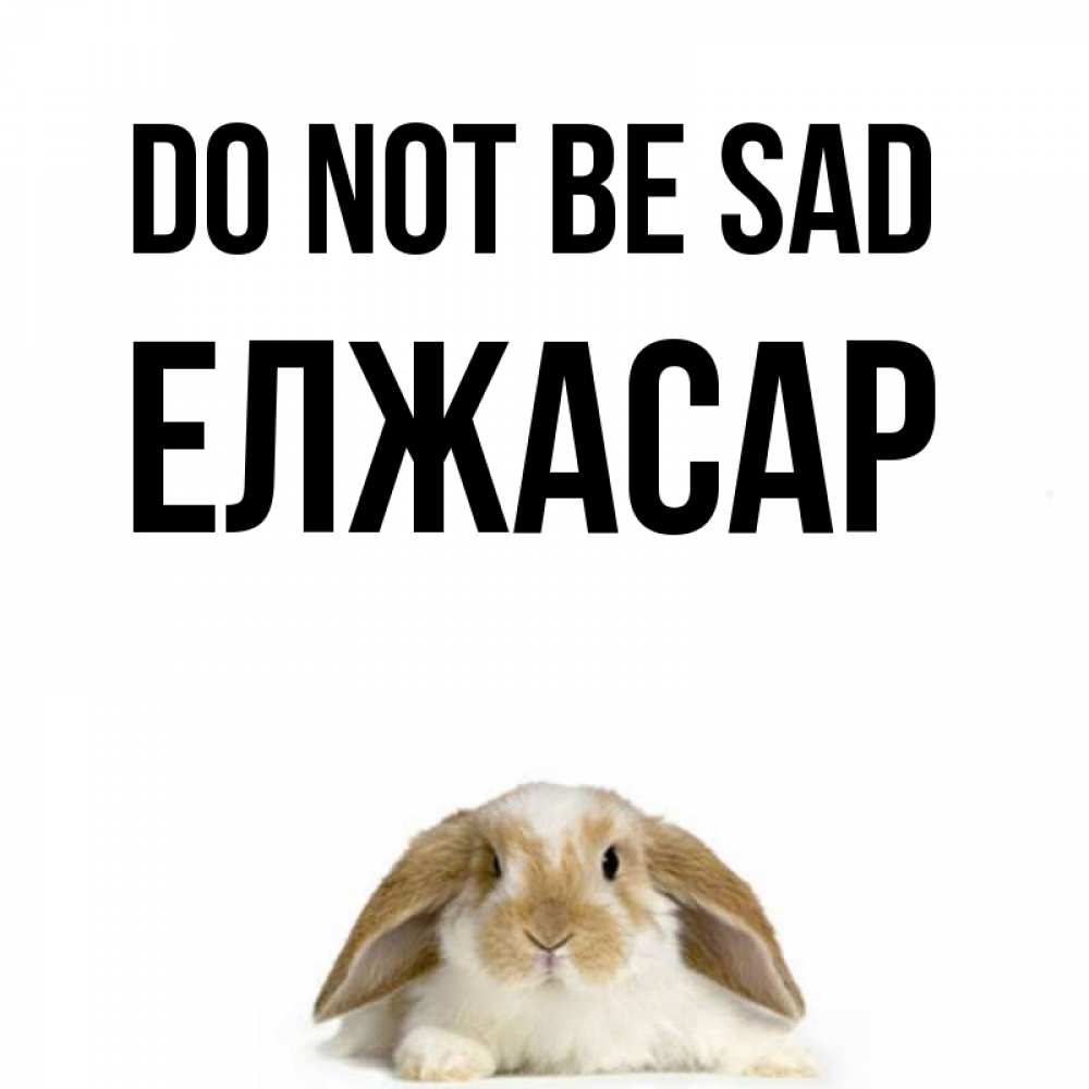 Greetings card с именем, Елжасар Do not be sad коричнево белый заяц с большими ушками Greetings with text for free download 