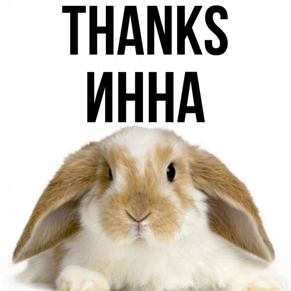 Greetings card с именем, Инна Thanks коричнево белый заяц Greetings with text for free download 