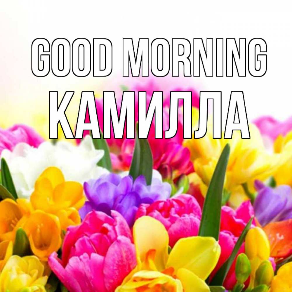 Greetings card с именем, Камилла Good morning создать открытку со свое подписью Greetings with text for free download 