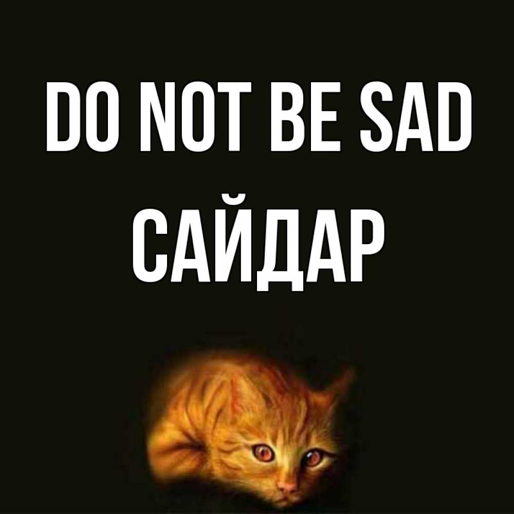 Greetings card с именем, САЙДАР Do not be sad лежащий кот в темноте Greetings with text for free download 