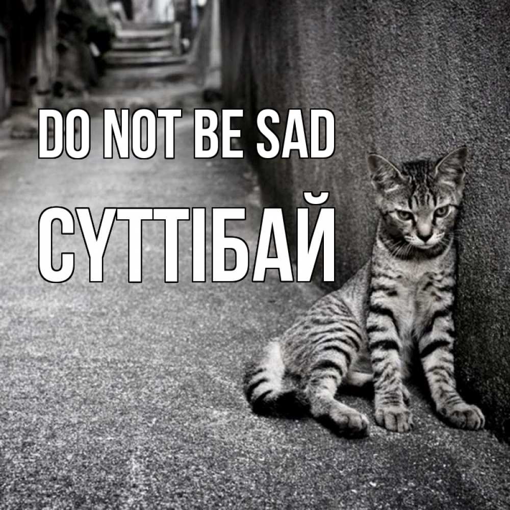 Greetings card с именем, СҮТТІБАЙ Do not be sad скучающий котик Greetings with text for free download 