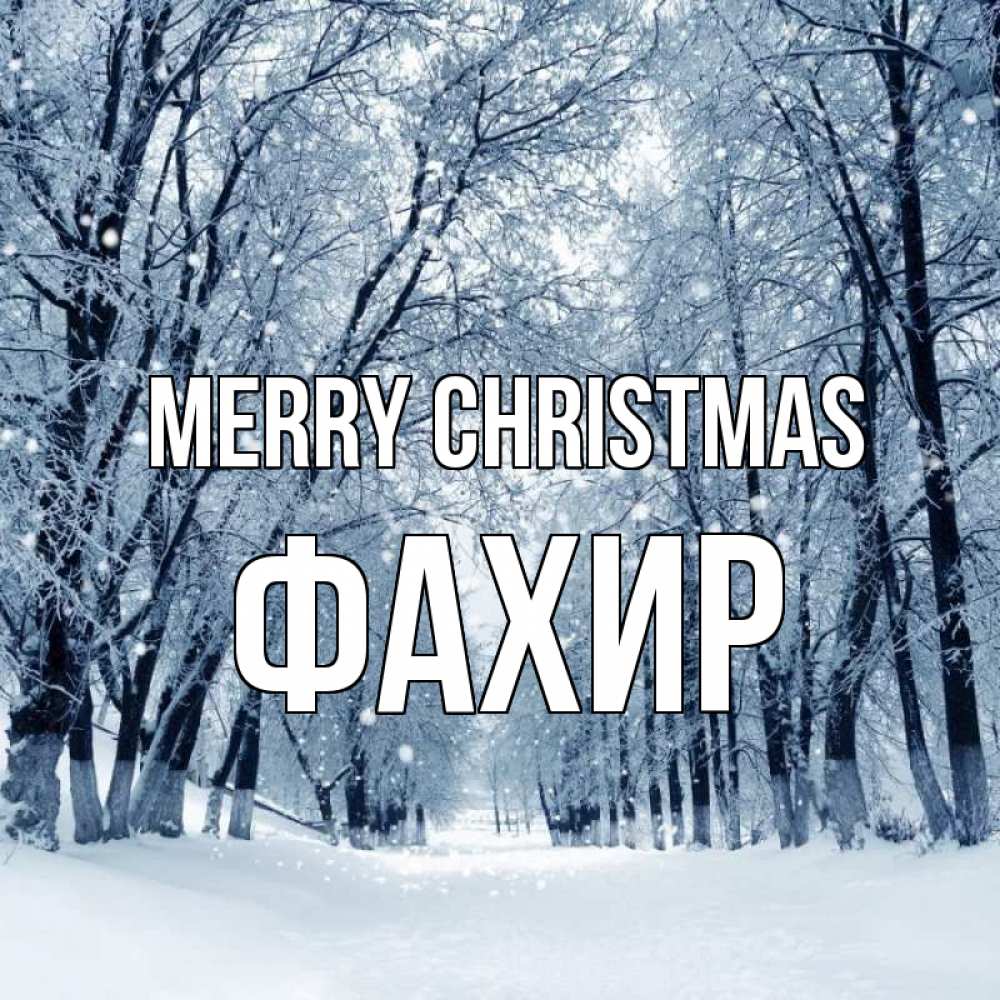Greetings card с именем, ФАХИР Merry Christmas снег, лес, парк Greetings with text for free download 