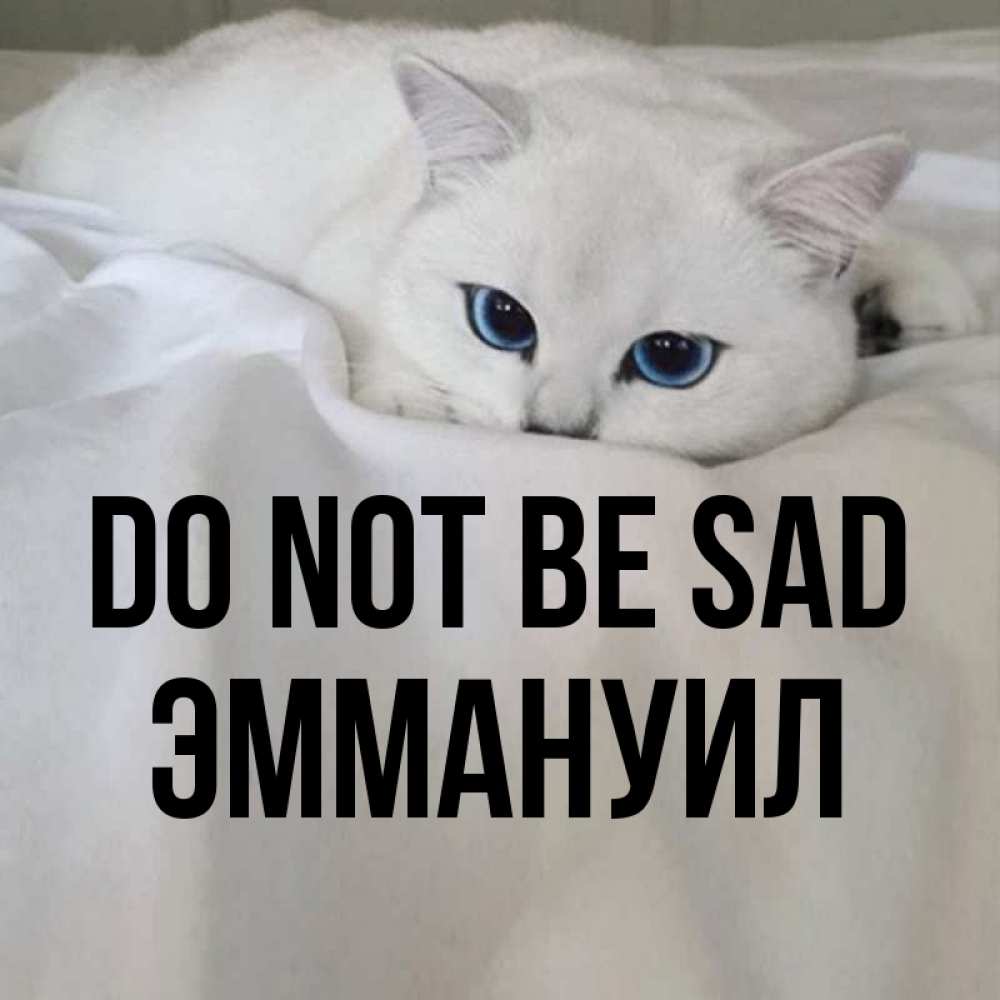 Greetings card с именем, Эммануил Do not be sad Голубоглазая кошка Greetings with text for free download 