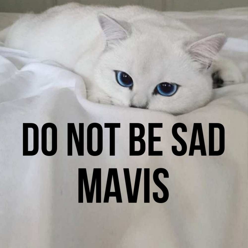 Greetings card с именем, Mavis Do not be sad Голубоглазая кошка Greetings with text for free download 