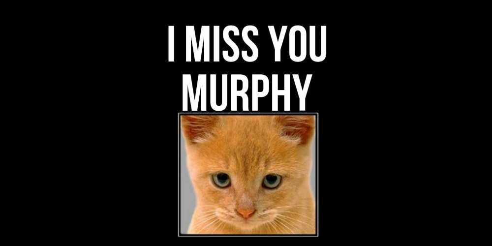 Greetings card с именем, Murphy I miss you открытки рыжий котенок скучает по тебе Greetings with text for free download 