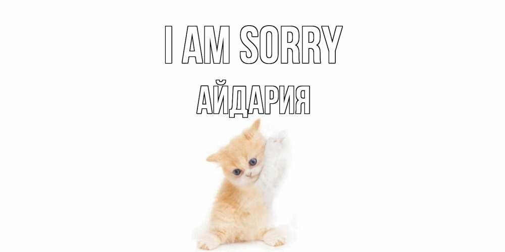 Greetings card с именем, АЙДАРИЯ I am sorry кот Greetings with text for free download 