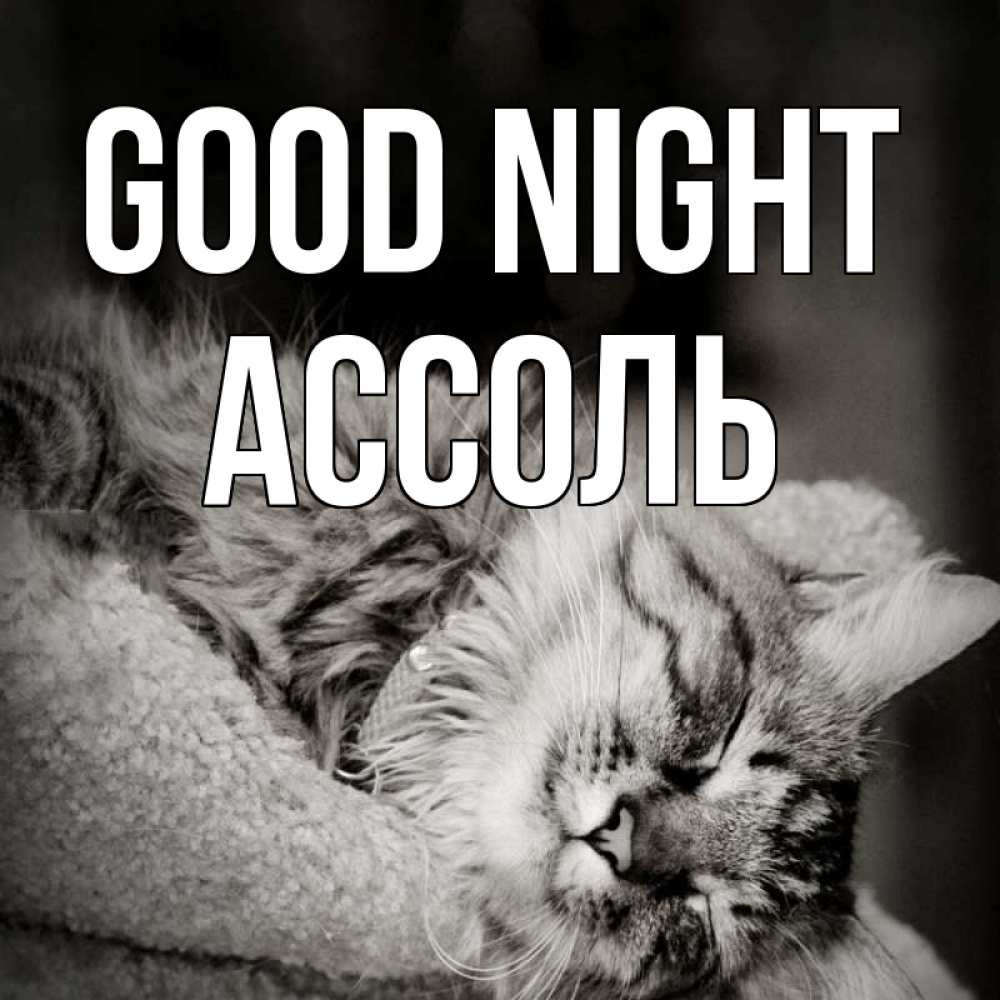Greetings card с именем, Ассоль Good night котярик пушистый Greetings with text for free download 