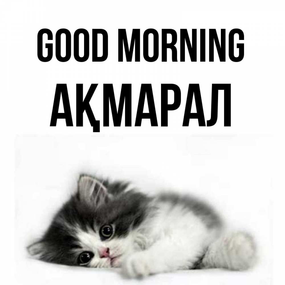Greetings card с именем, АҚМАРАЛ Good morning кот лапки Greetings with text for free download 
