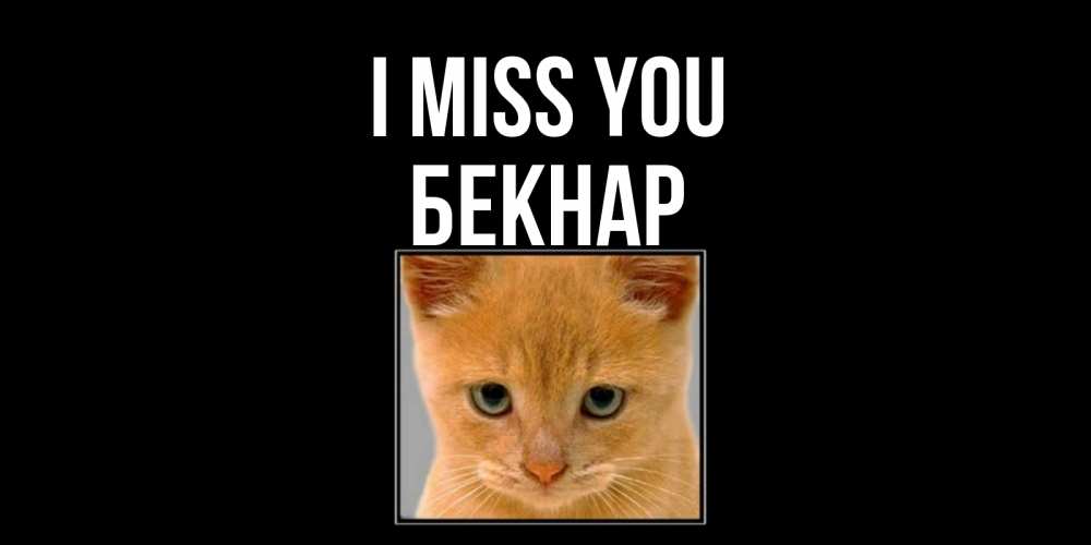 Greetings card с именем, Бекнар I miss you открытки рыжий котенок скучает по тебе Greetings with text for free download 