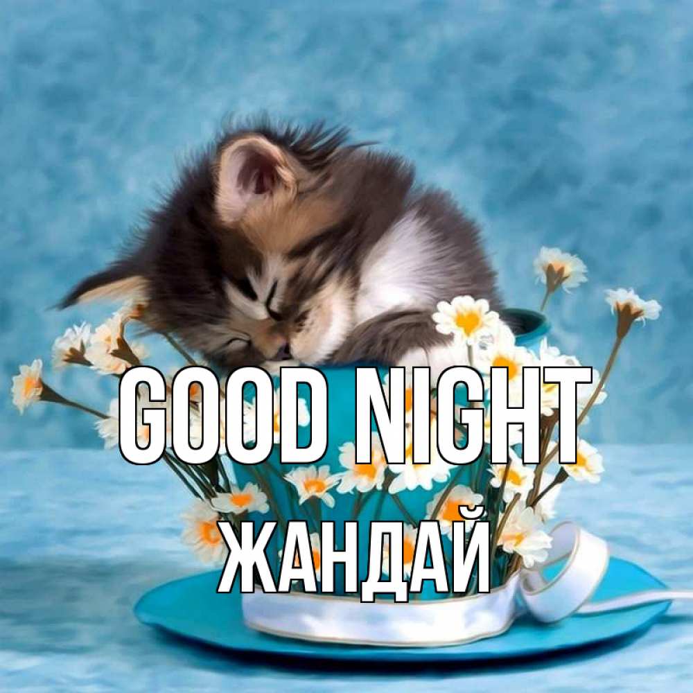 Greetings card с именем, Жандай Good night котенок спит в кружке с блюдцем Greetings with text for free download 
