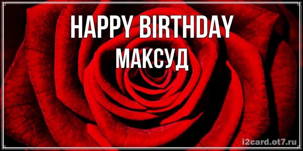 Greetings card с именем, Максуд Happy Birthday алая роза Greetings with text for free download 