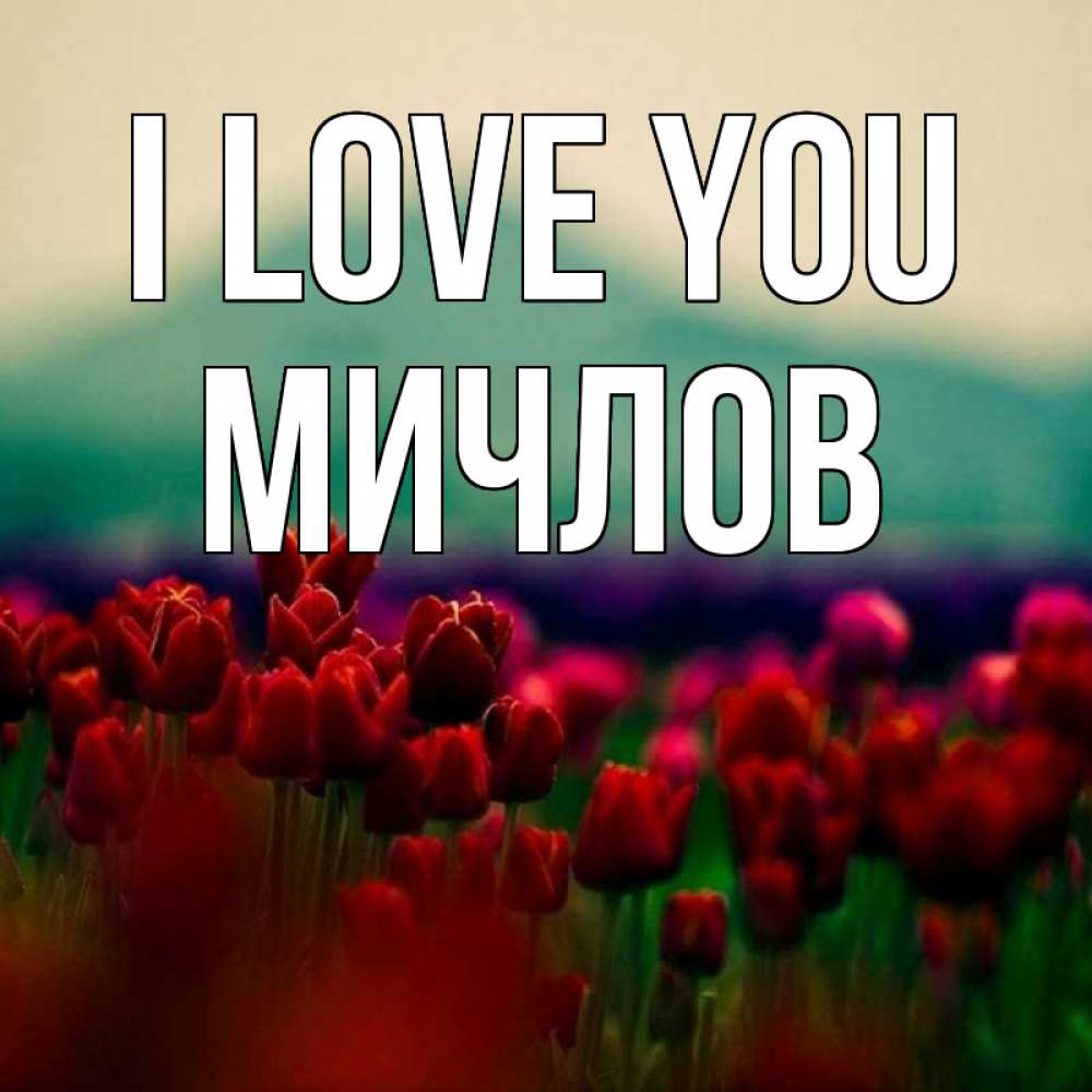 Greetings card с именем, Мичлов I love you тюльпаны 4 Greetings with text for free download 