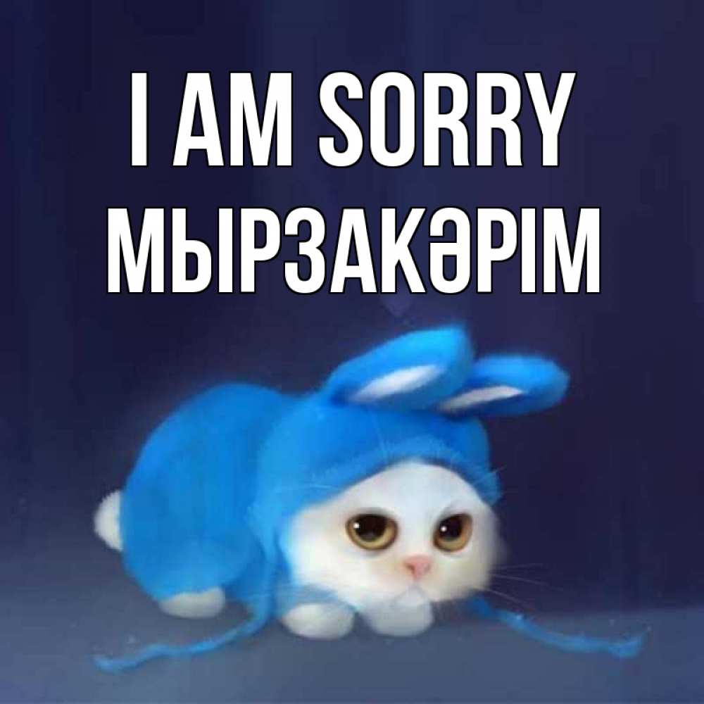 Greetings card с именем, Мырзакәрім I am sorry невинный котозай просит прощения Greetings with text for free download 