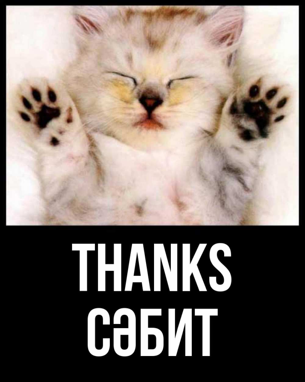 Greetings card с именем, СӘБИТ Thanks маленький котенок Greetings with text for free download 