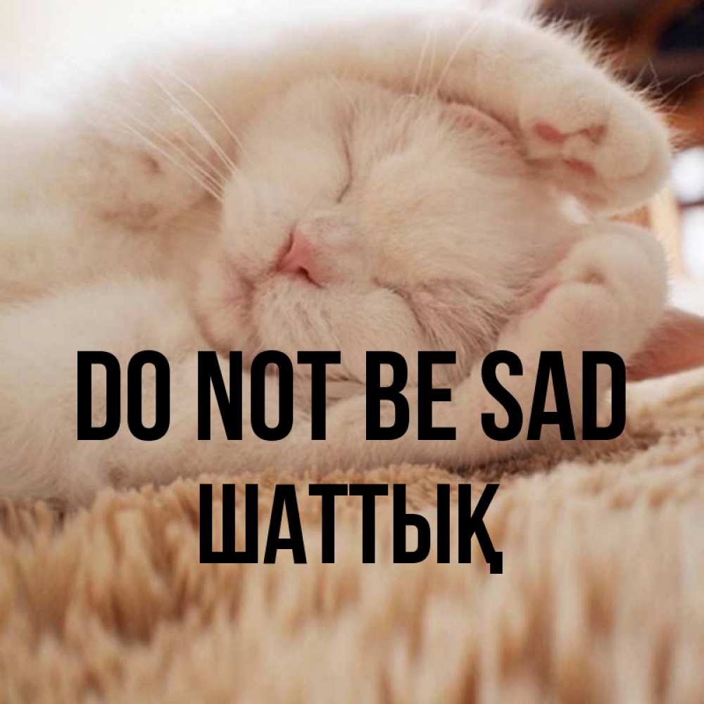 Greetings card с именем, ШАТТЫҚ Do not be sad Котенок спит Greetings with text for free download 