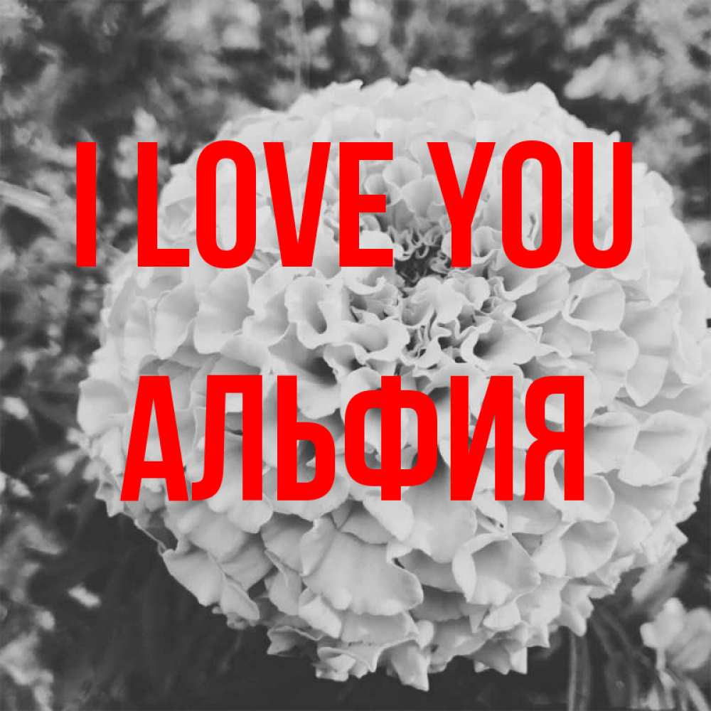 Greetings card с именем, Альфия I love you подпись Greetings with text for free download 