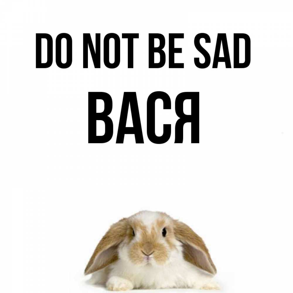 Greetings card с именем, Вася Do not be sad коричнево белый заяц с большими ушками Greetings with text for free download 