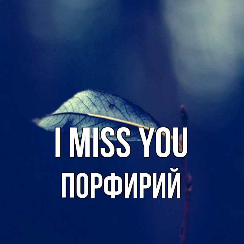 Greetings card с именем, Порфирий I miss you одна ветка 1 Greetings with text for free download 