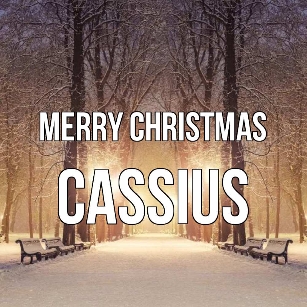 Greetings card с именем, Cassius Merry Christmas зима, парк, фонарь, лес Greetings with text for free download 