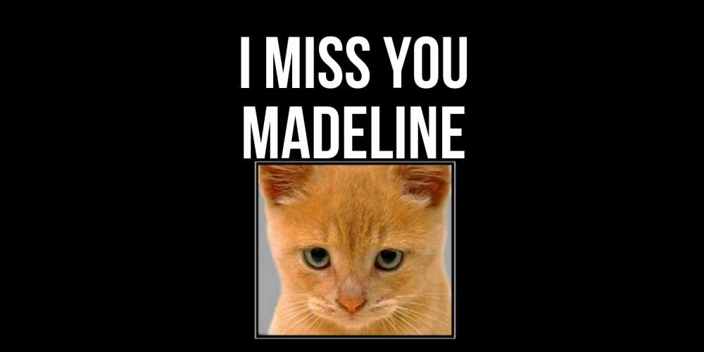 Greetings card с именем, Madeline I miss you открытки рыжий котенок скучает по тебе Greetings with text for free download 