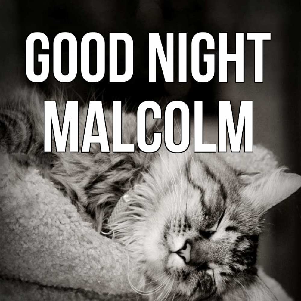 Greetings card с именем, Malcolm Good night котярик пушистый Greetings with text for free download 