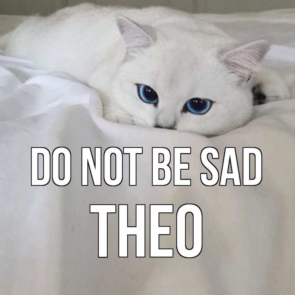 Greetings card с именем, Theo Do not be sad белый кот с голубыми глазами на белоснежной кровати Greetings with text for free download 