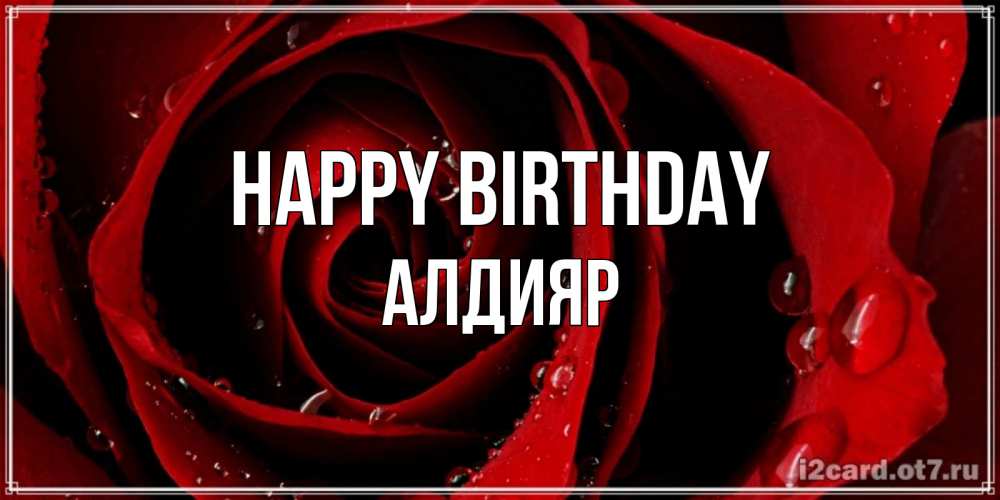 Greetings card с именем, Алдияр Happy Birthday крупная бордовая роза Greetings with text for free download 