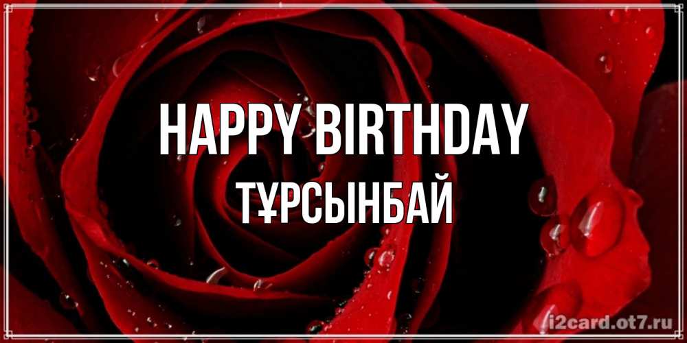 Greetings card с именем, ТҰРСЫНБАЙ Happy Birthday крупная бордовая роза Greetings with text for free download 