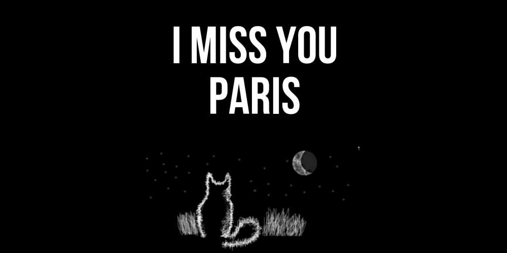 Greetings card с именем, Paris I miss you кот Greetings with text for free download 