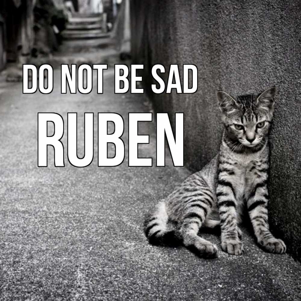 Greetings card с именем, Ruben Do not be sad скучающий котик Greetings with text for free download 