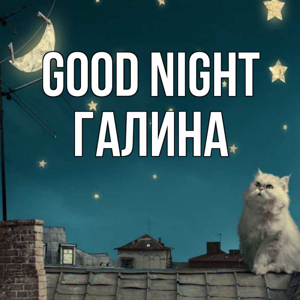 Greetings card с именем, Галина Good night белый кот сидит на крыше Greetings with text for free download 