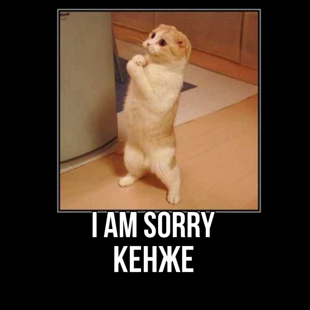 Greetings card с именем, Кенже I am sorry открытка с милым несчастным котиком просящим прощения Greetings with text for free download 