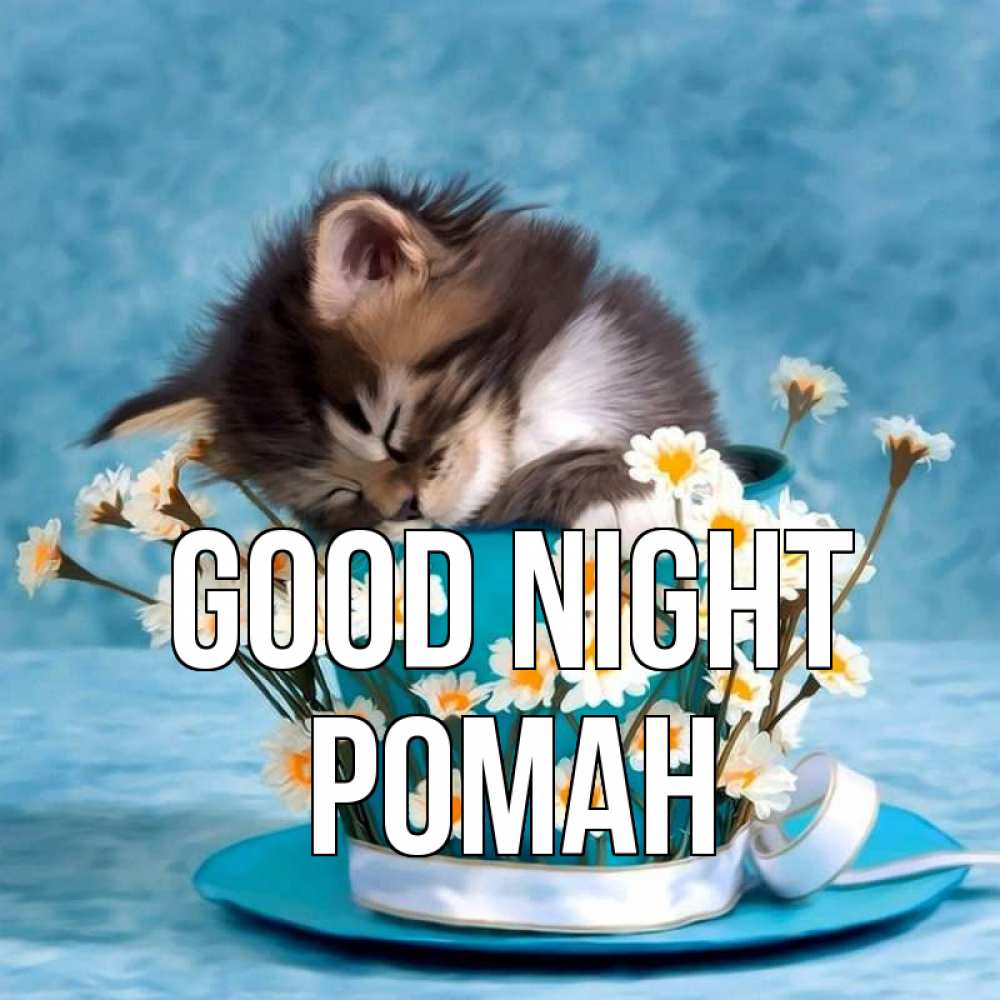 Greetings card с именем, Роман Good night котенок спит в кружке с блюдцем Greetings with text for free download 