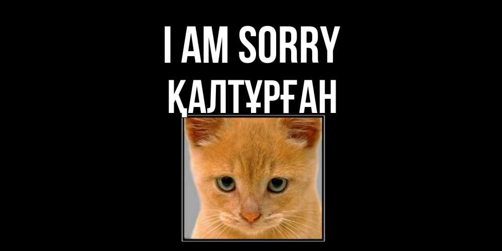 Greetings card с именем, ҚАЛТҰРҒАН I am sorry рыжий грустный кот просит прощения Greetings with text for free download 