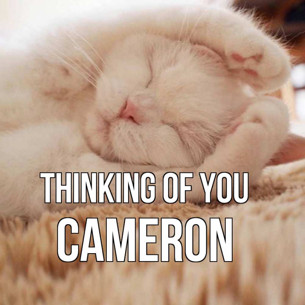Greetings card с именем, Cameron Thinking of you для любимой девушки милота Greetings with text for free download 