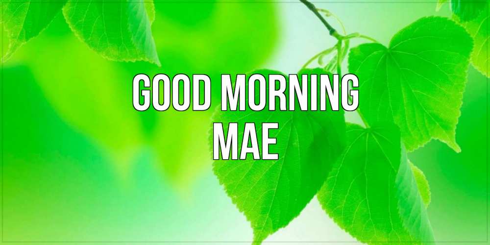 Greetings card с именем, Mae Good morning доброе утро с березовыми листьями Greetings with text for free download 