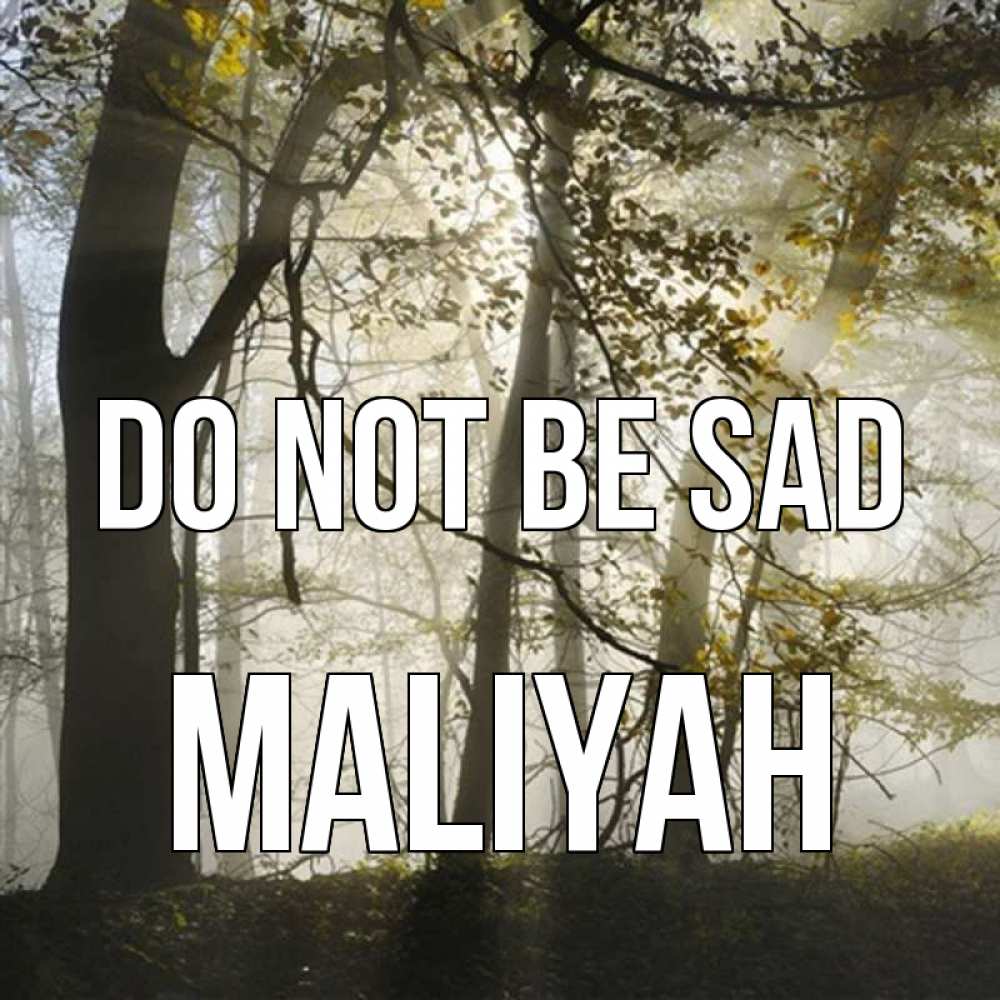 Greetings card с именем, Maliyah Do not be sad лес и свет Greetings with text for free download 