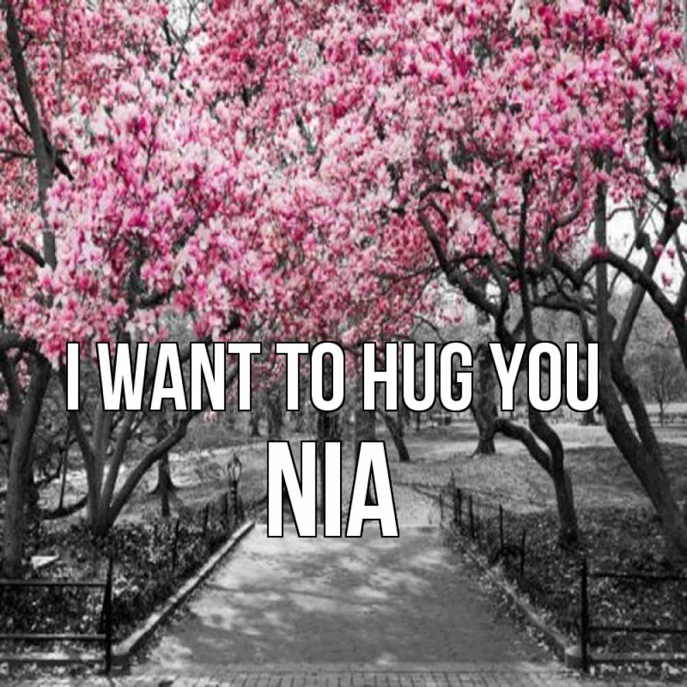 Greetings card с именем, Nia I want to hug you обработанное фото Greetings with text for free download 