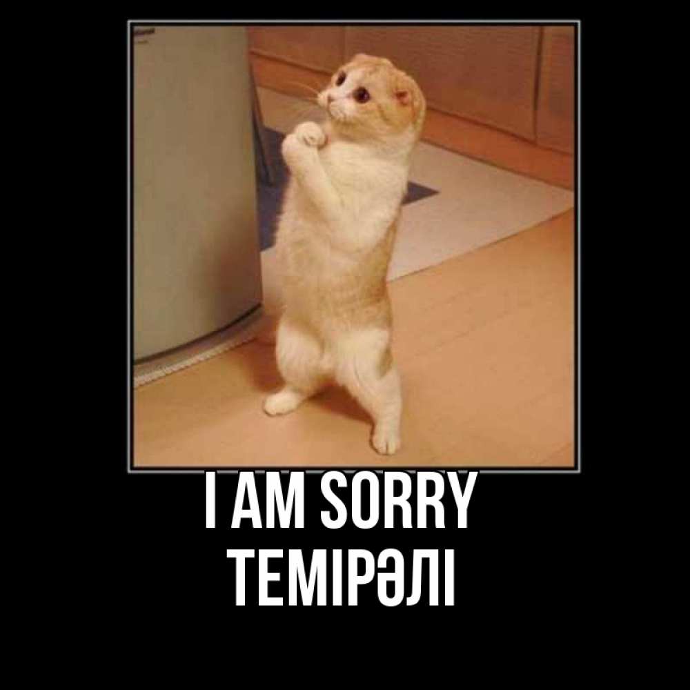 Greetings card с именем, ТЕМІРӘЛІ I am sorry открытка с милым несчастным котиком просящим прощения Greetings with text for free download 
