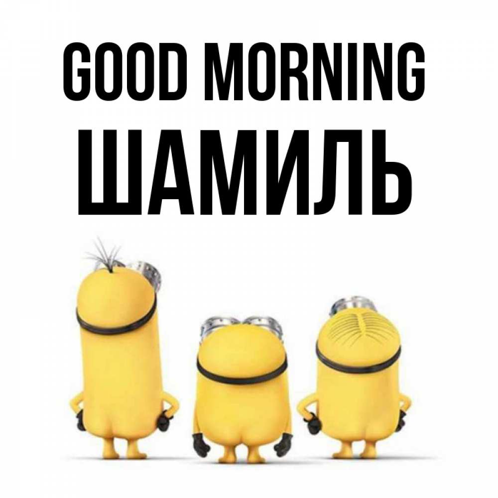 Greetings card с именем, Шамиль Good morning подписать открытку онлайн бесплатно Greetings with text for free download 