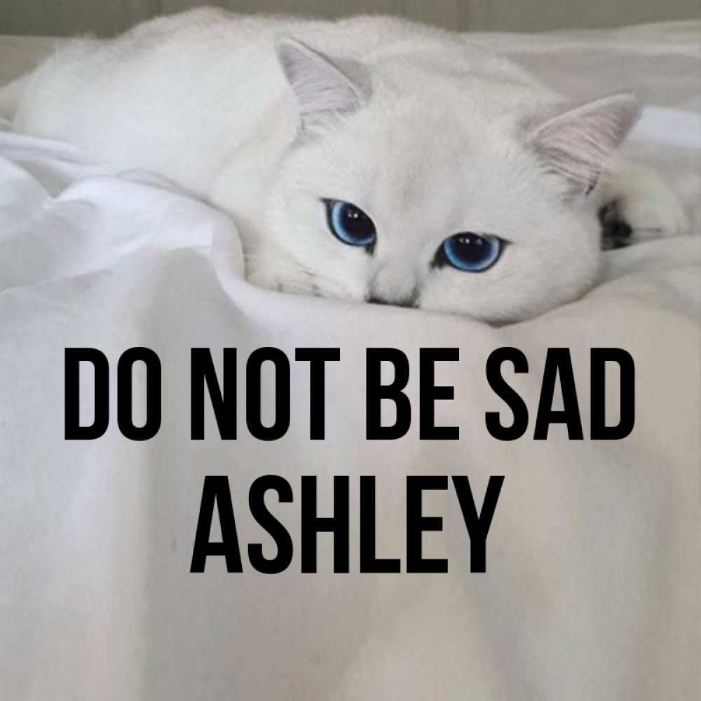 Greetings card с именем, Ashley Do not be sad Голубоглазая кошка Greetings with text for free download 