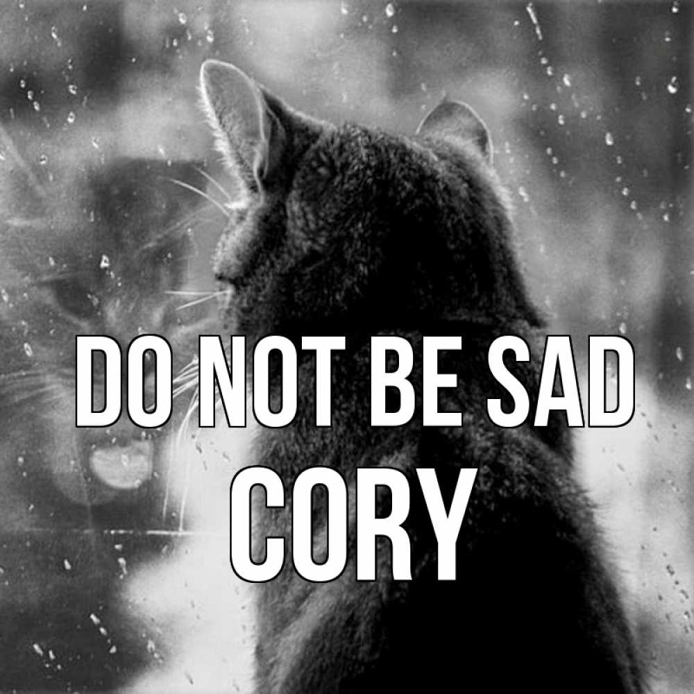 Greetings card с именем, Cory Do not be sad отражение кота 1 Greetings with text for free download 