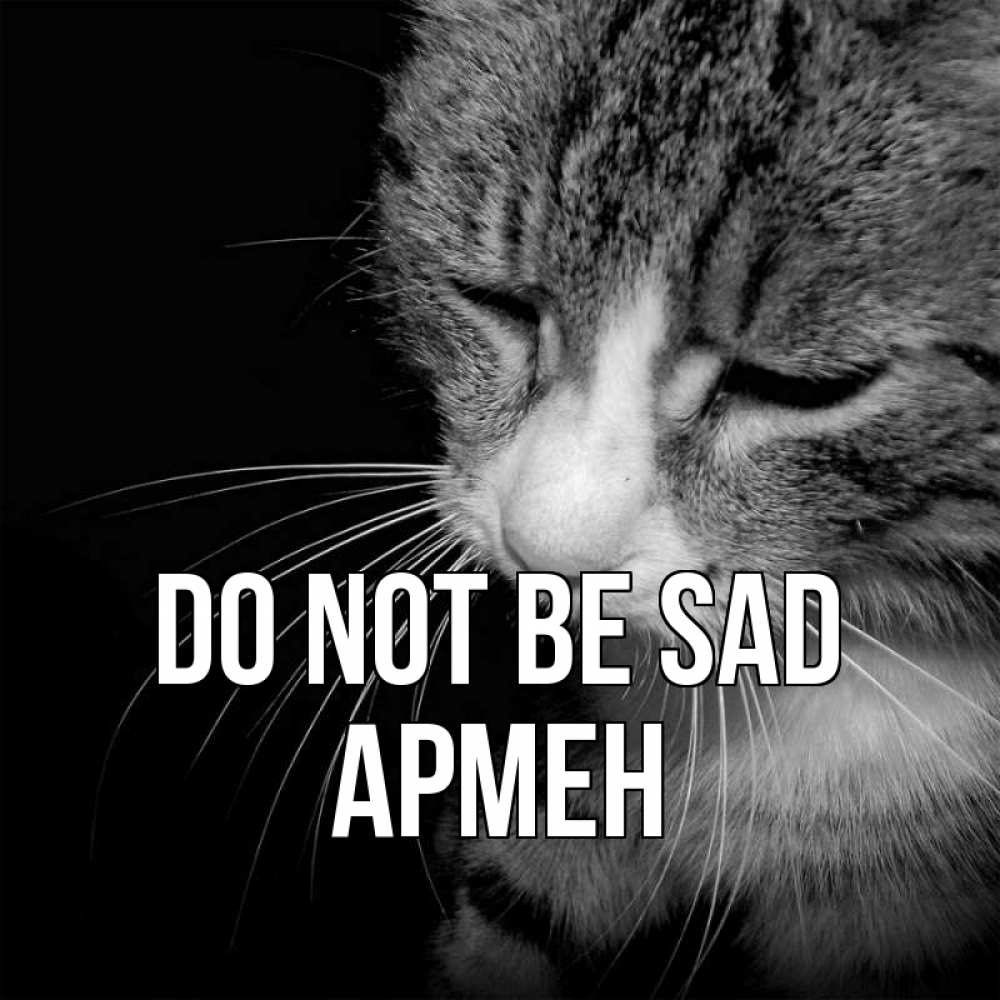 Greetings card с именем, Армен Do not be sad грустный котик Greetings with text for free download 
