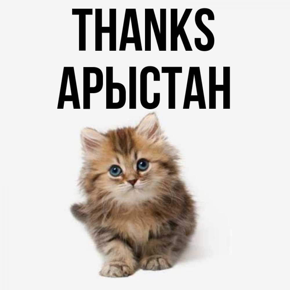 Greetings card с именем, Арыстан Thanks пушистый котик Greetings with text for free download 