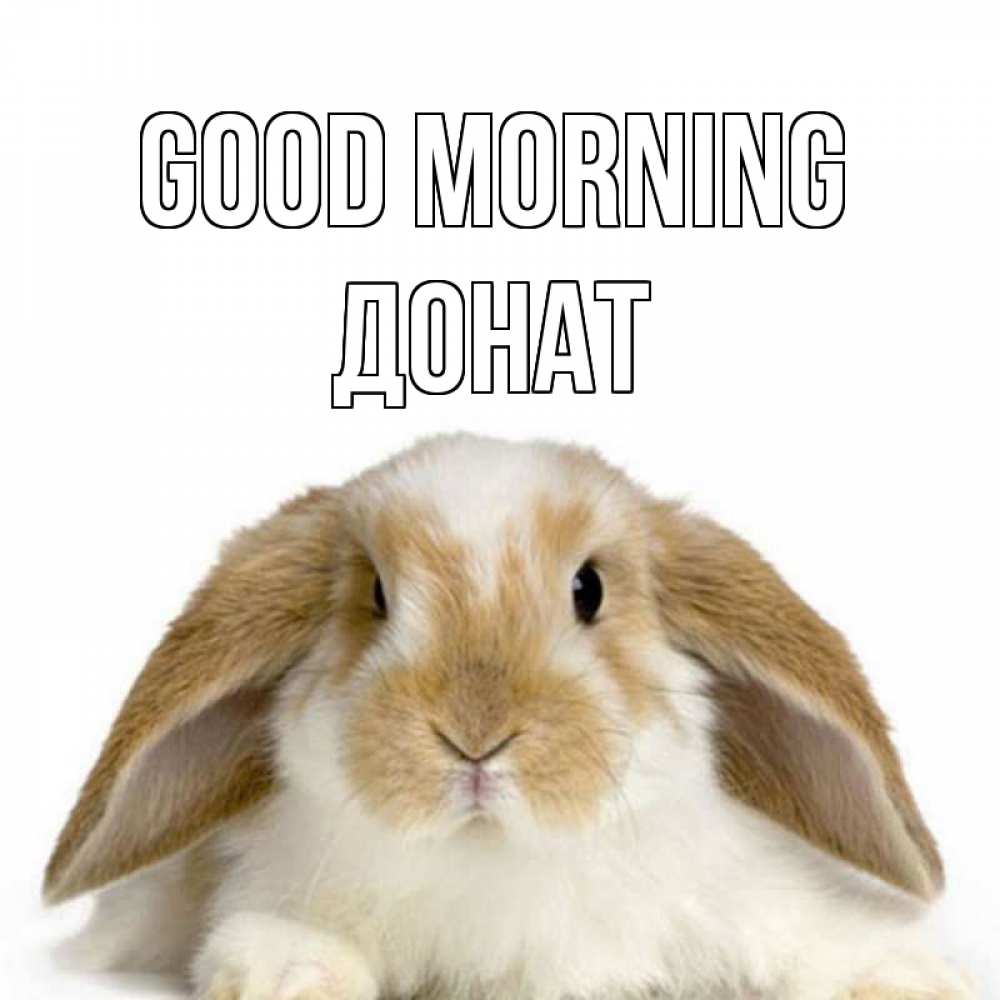 Greetings card с именем, Донат Good morning прикольные открытки на каждый день Greetings with text for free download 