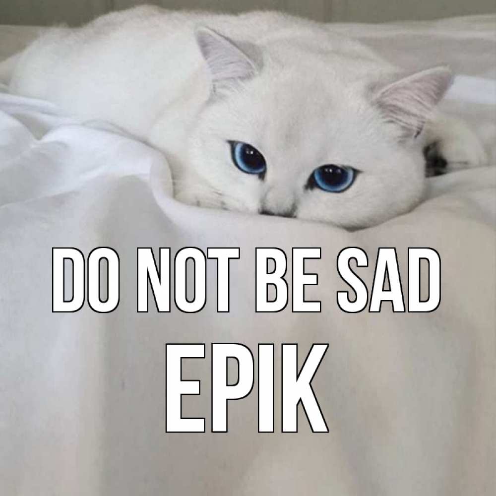 Greetings card с именем, Ерік Do not be sad белый кот с голубыми глазами на белоснежной кровати Greetings with text for free download 
