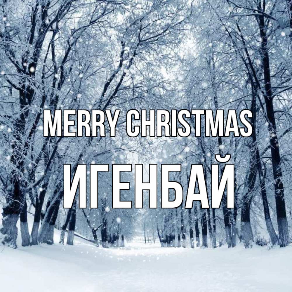 Greetings card с именем, Игенбай Merry Christmas снег, лес, парк Greetings with text for free download 